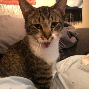 Meet your Posher, Kaitlyn